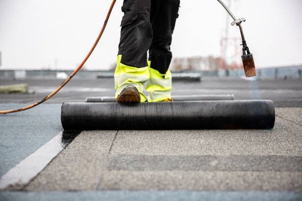 Best Roof Maintenance and Cleaning  in Black River Falls, WI